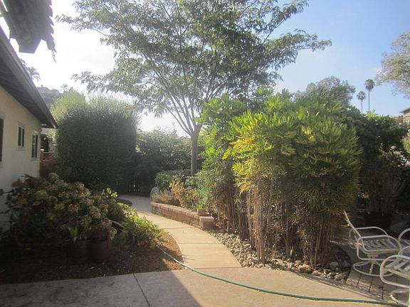 Landscaped rear yard