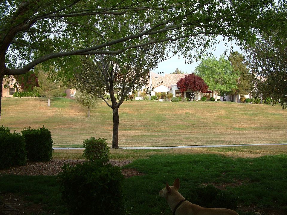 Expansive Green Views