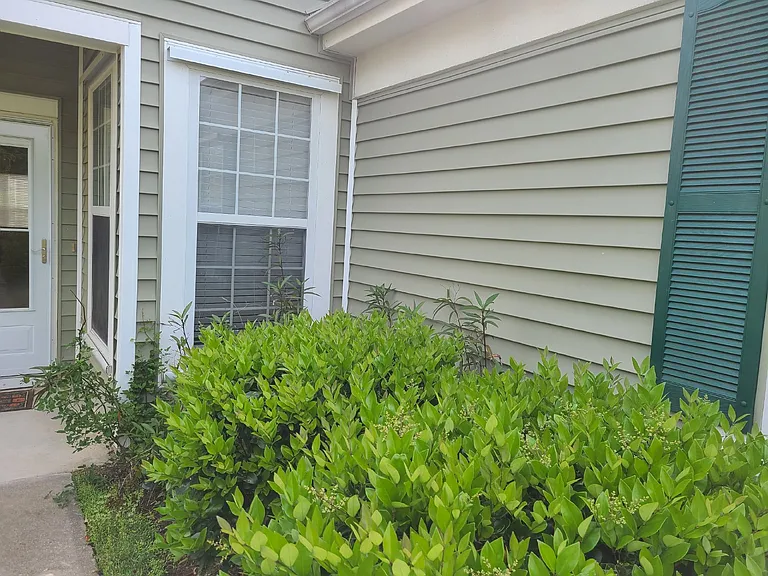 565 Colonel Thomas Heyward Rd — Photo 19