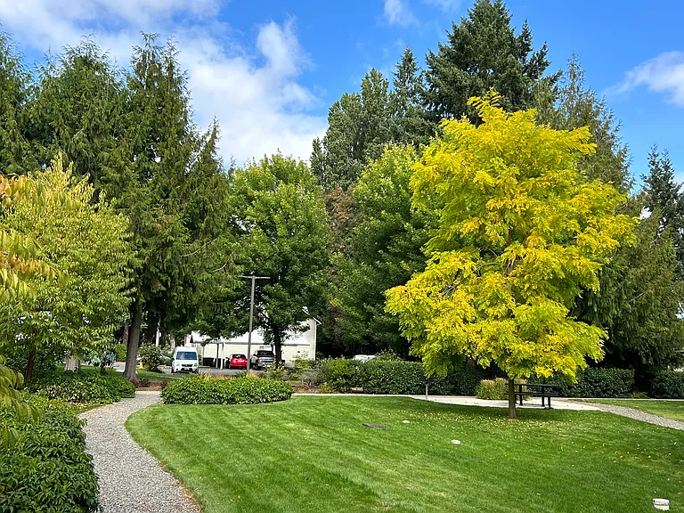 Golf Club Apartments — Photo 14