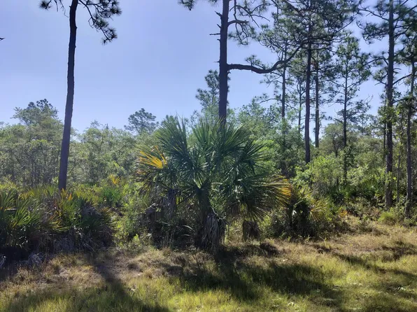 0 Ramsey Rd, Brooksville, FL 34614