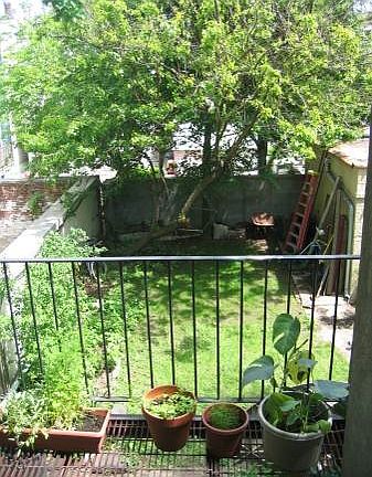 2nd image of 251 15th St #2