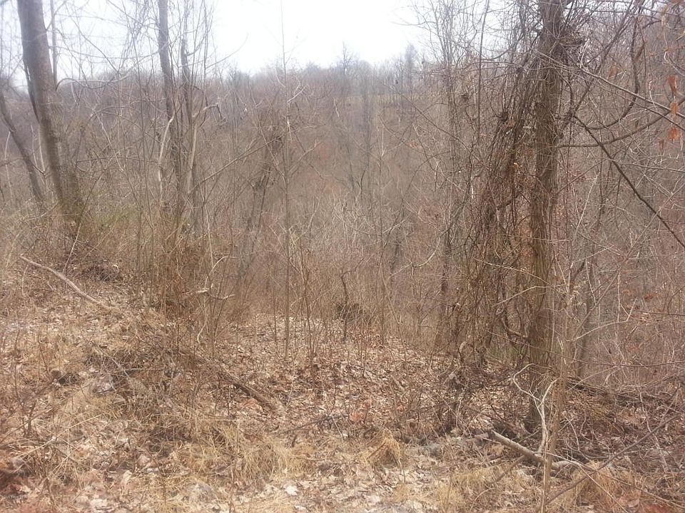 2015-03-24 11.36.16
