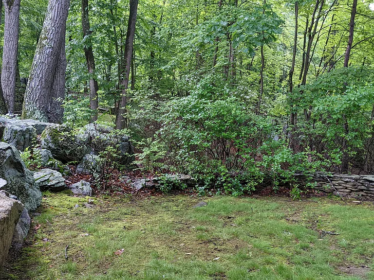 Mountain Laurel Ln — Photo 16