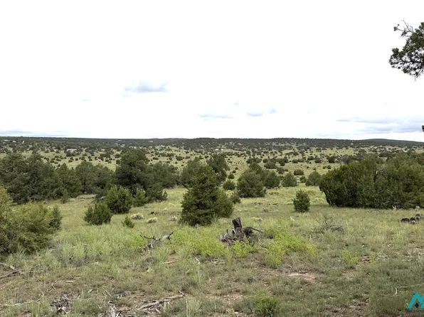 7 Indian Maiden Ct, Quemado, NM 87829