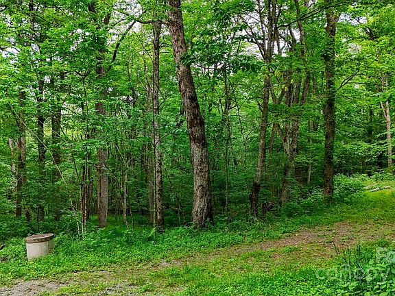 3rd image of 233 Woodland Springs Trl #14