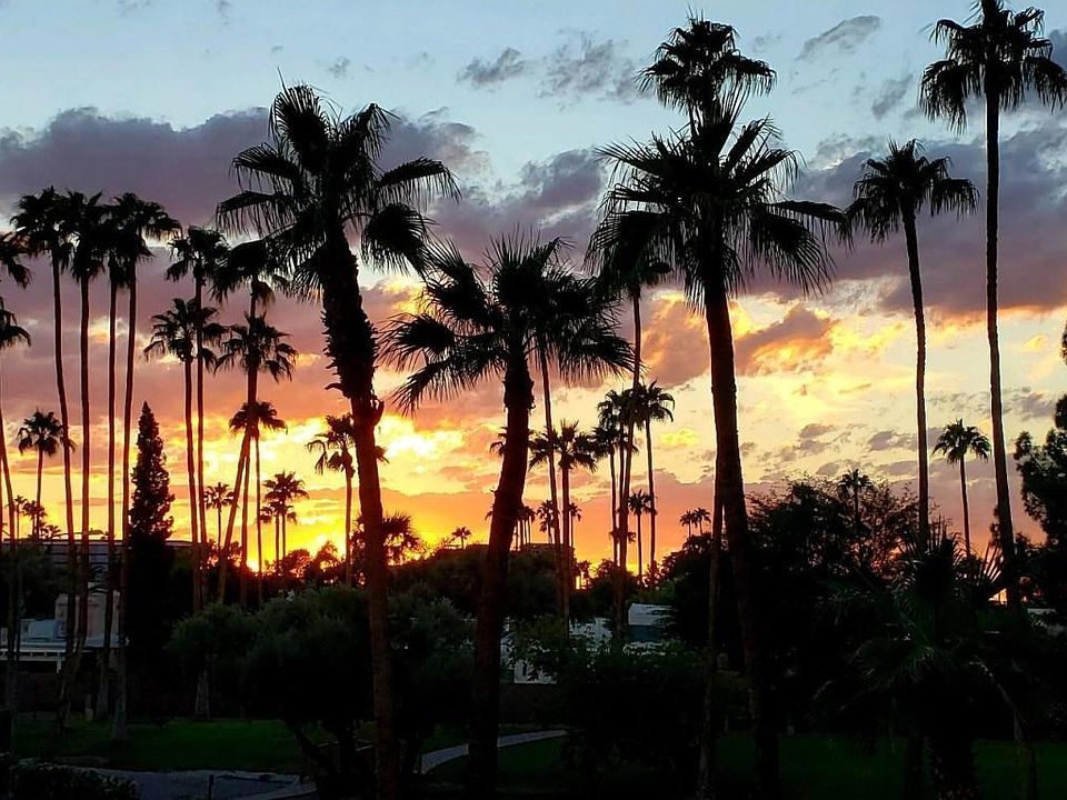 VIEWS AT SCOTTSDALE SHADOWS
