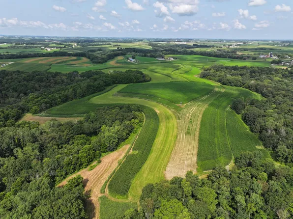 Gavin Rd, Caledonia, MN 55921