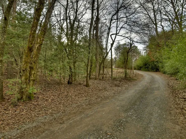 Huckleberry Ln, Mineral Bluff, GA 30559