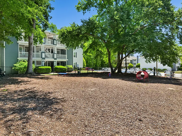 Palmetto Place Apartments — Photo 21