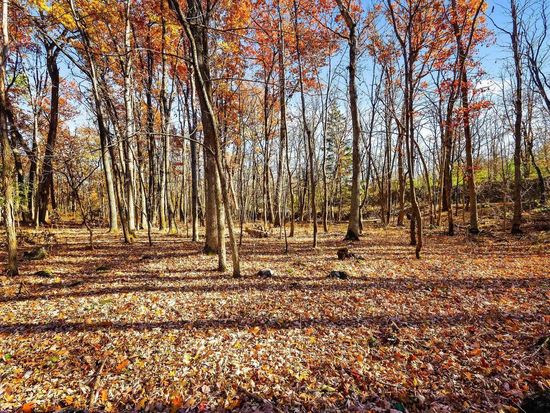 Lot 2 County Road E #2, Pardeeville, WI 53954