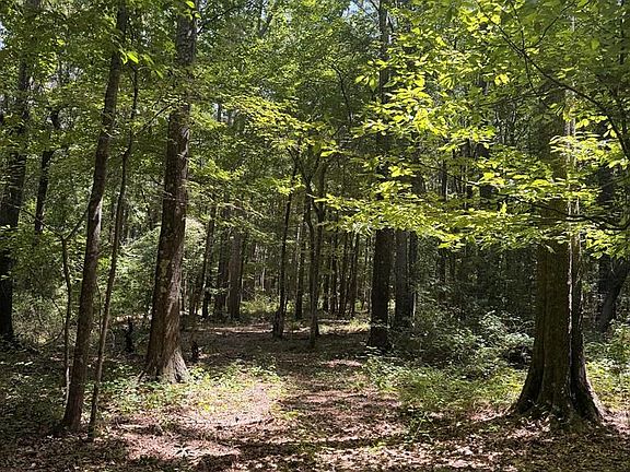 4th image of County Road 3439