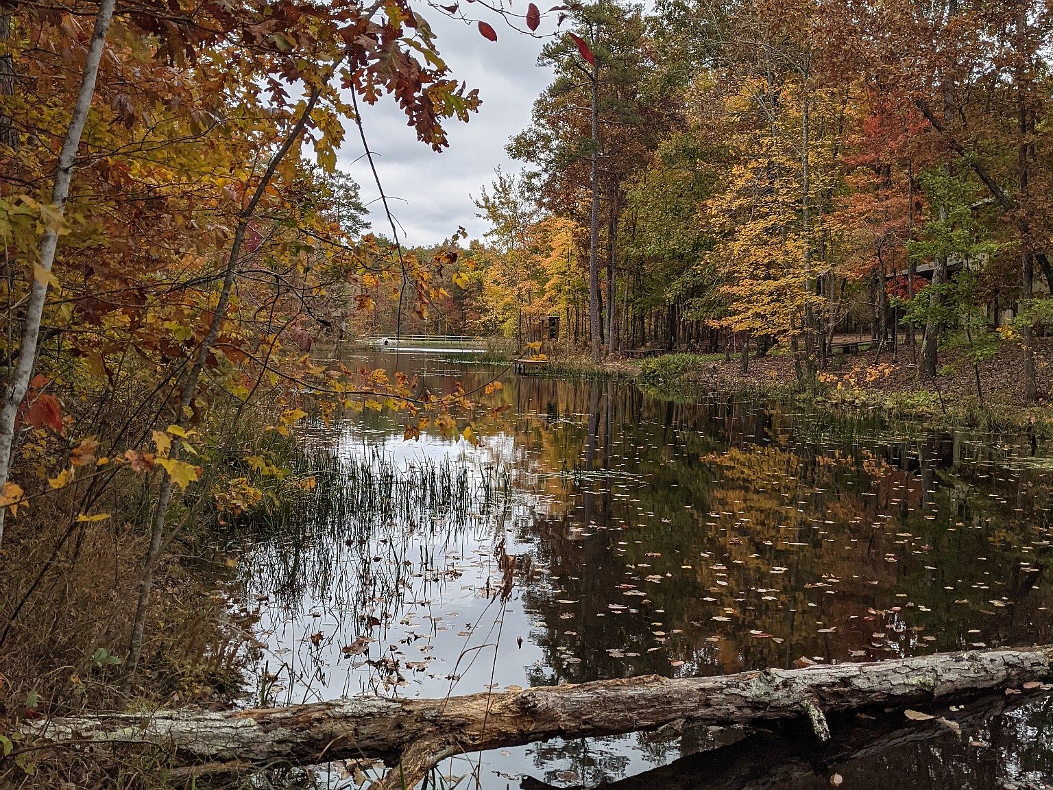 0 Boulder Lake Dr NW4B, Coalmont, TN 37313 Zillow