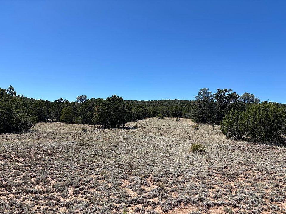 1st image of Dos Lunas