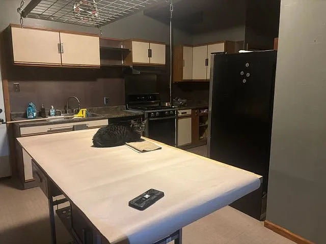 Studio, 600 sqft, $1,600 — Photo 3
