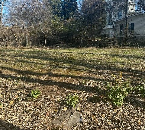 4th image of 1002 Ozark St SW Lot 1