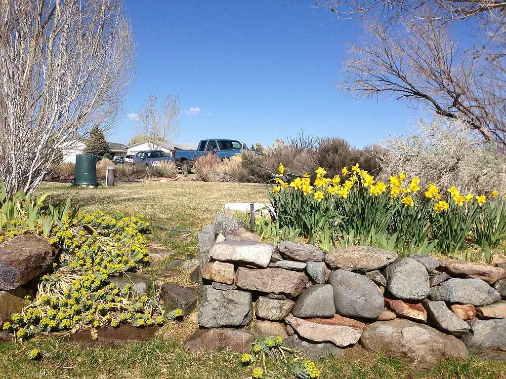 Property photo 5