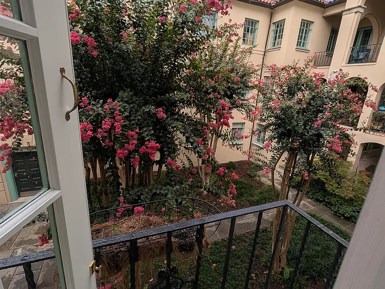 View from Balcony
