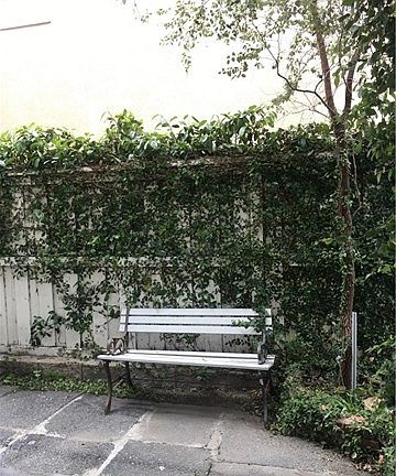 5th image of 11092 Lavender Ln