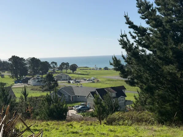 90 Fawn Dr, Whitethorn, CA 95589