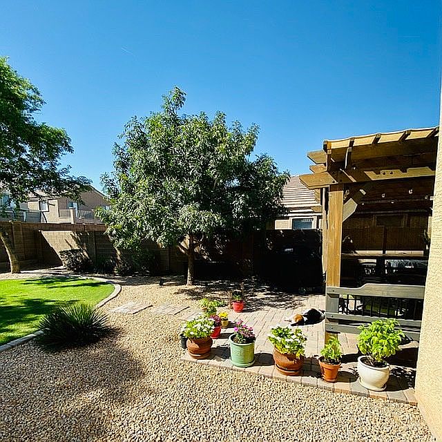 Back Patio