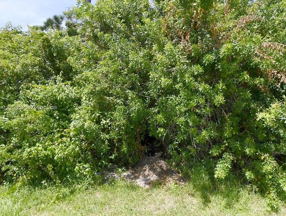 1st image of 1241 SW Idol Ave