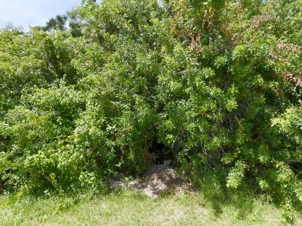 1241 SW Idol Ave, Port Saint Lucie, FL 34953