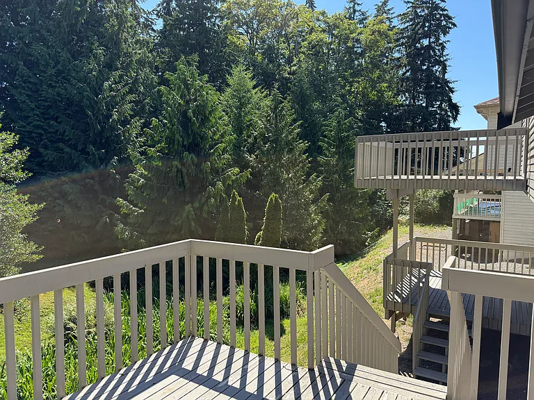Three back decks