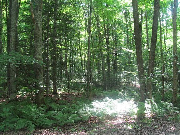 4th image of 49+ Acres County Road A