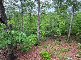44412 Fanning Hills Pl, Center, MO 63436
