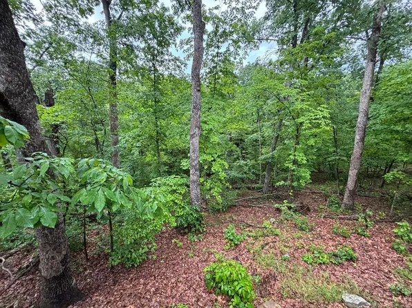 44412 Fanning Hills Pl, Center, MO 63436