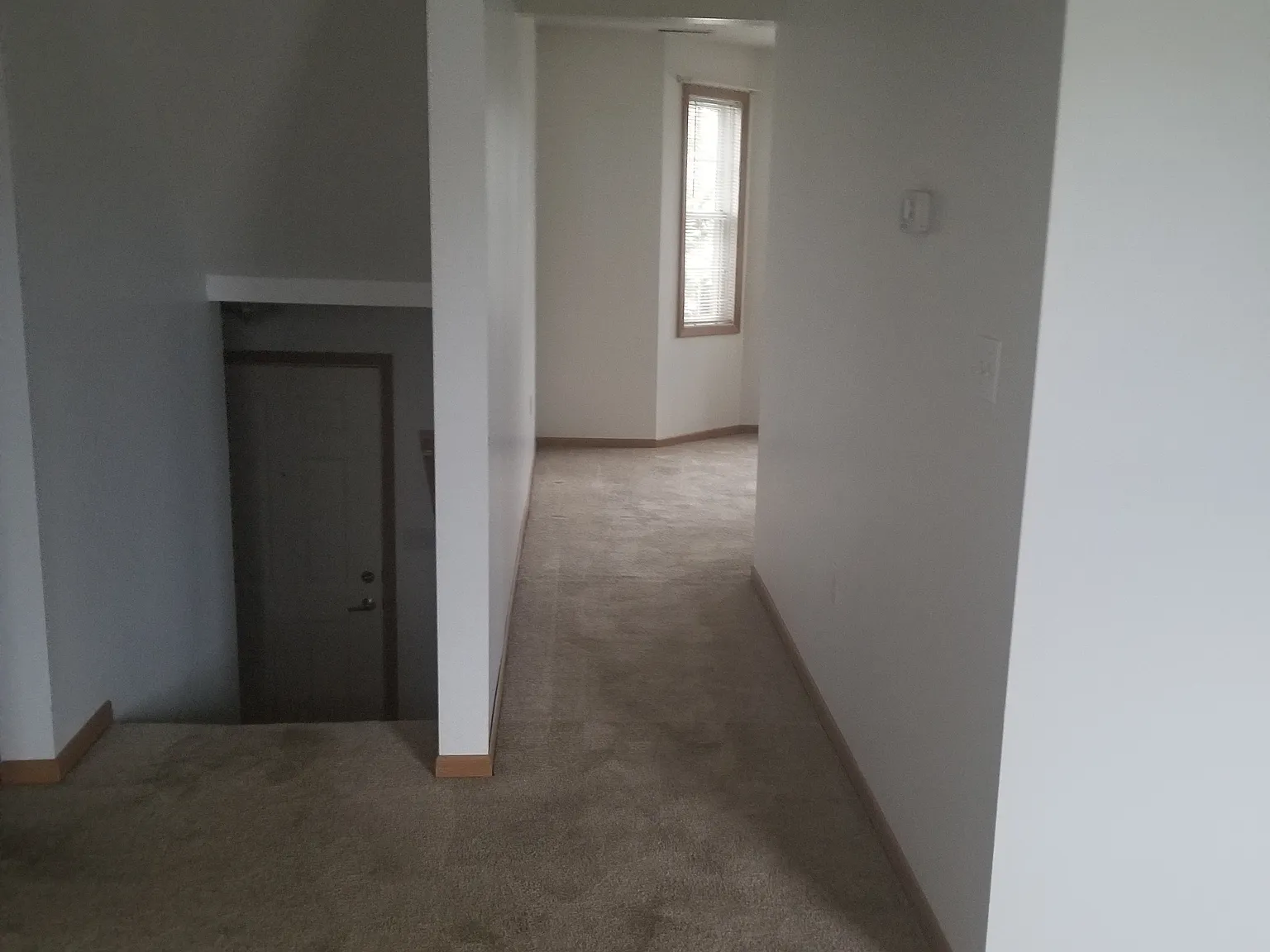 McCarty — Photo 3