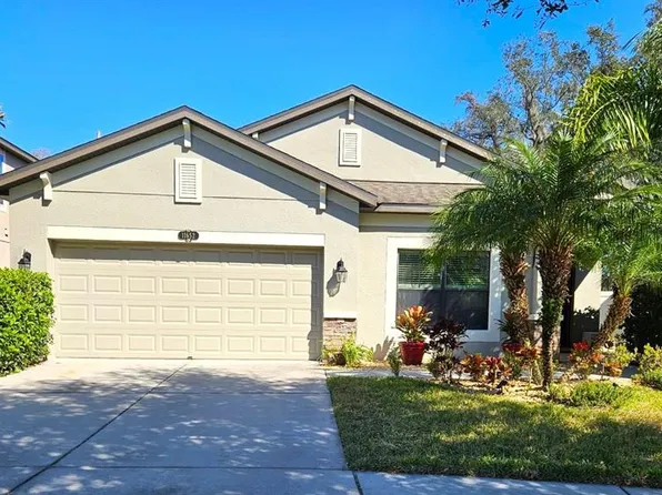 11652 Palmetto Pine St, Riverview, FL 33569