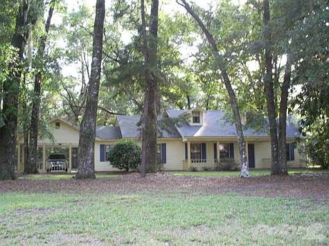 Main View