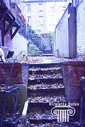 Rented by CIMINO CONO