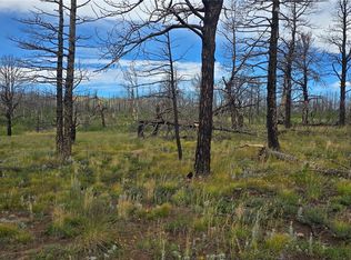 1683 Emery Loop, Fort Garland, CO 81133