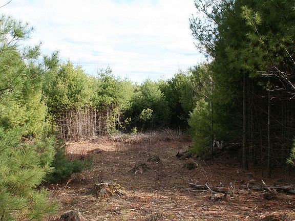 Clearing to show view potential.