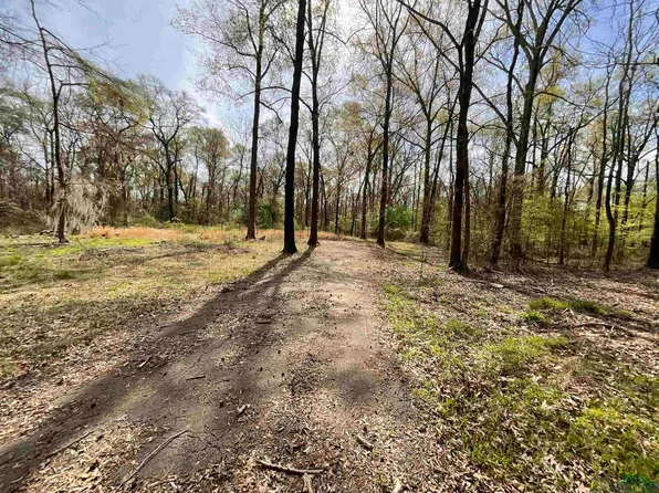 3912 Cypress Village Rd, Karnack, TX 75661