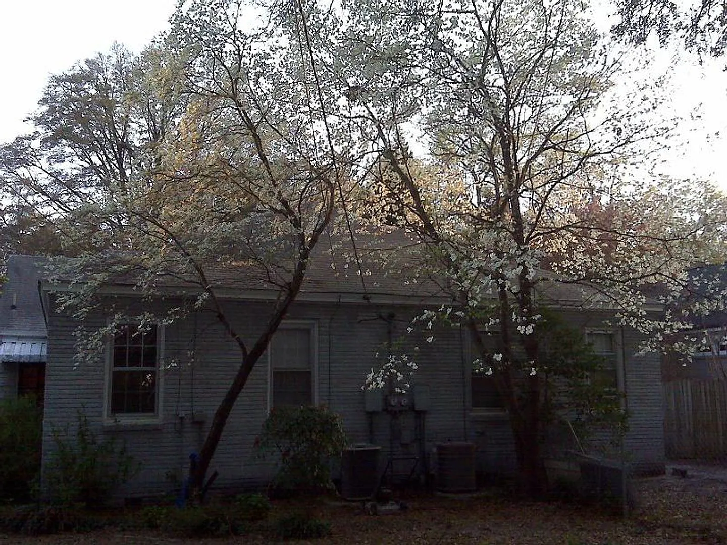 Monroe Street 2429 - 2431 — Photo 2