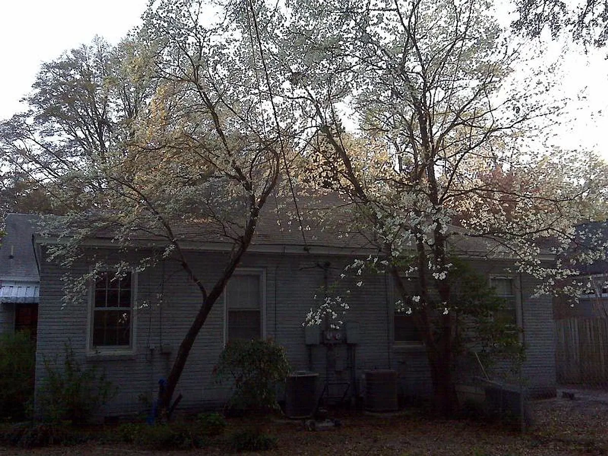 Building Photo - 2429 Monroe St