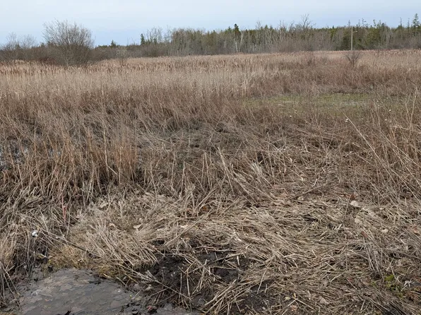 0 Bertrand St, Saint Ignace, MI 49781