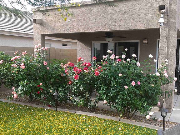 4th image of 1275 W Browning Way