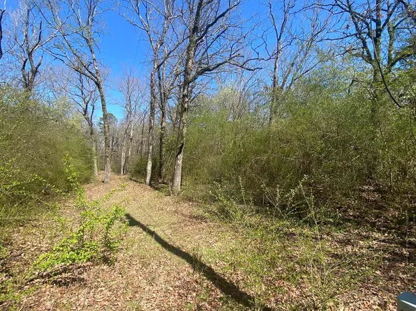 9908 Aldridge Ln, North Little Rock, AR 72118