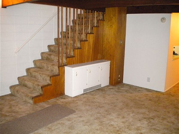 ENTERTAINMENT AREA