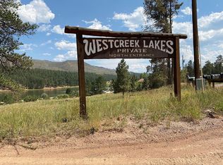 14661 Crooked Trail Rd, Woodland Park, CO 80863