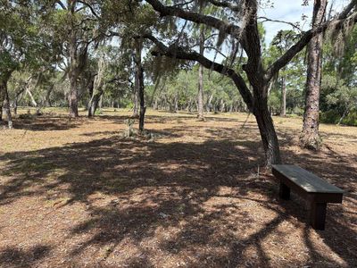 Rainey Trl, Panacea, FL, 32346