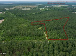 2 E Spring Hill Rd TRACT 2, Maysville, NC 28555