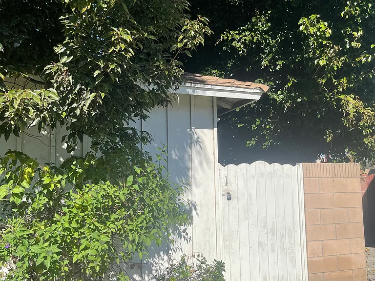 Devenir Ave — Photo 1