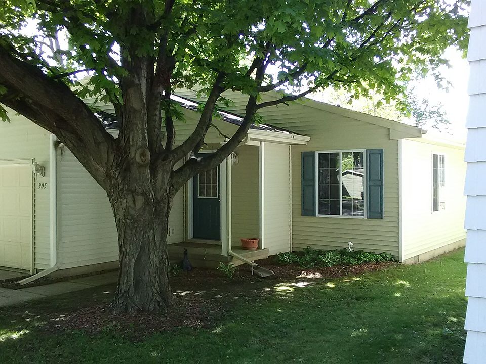 shaded front lawn
