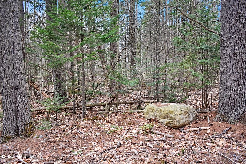 4th image of L29 Antler Lake Road